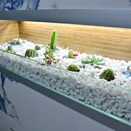 Homoljsko Jutro ☆☆☆☆ Homolje Morning ☆☆☆☆ Zagubica