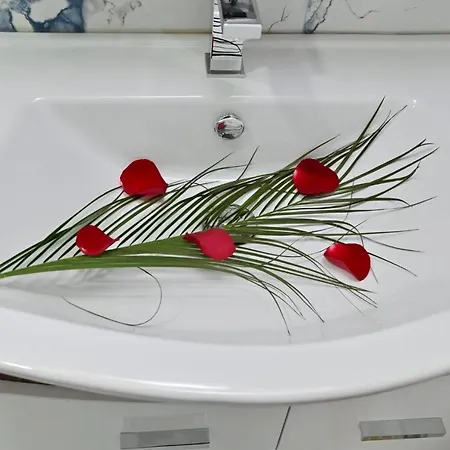 Homoljsko Jutro ☆☆☆☆ Homolje Morning ☆☆☆☆ 公寓 *