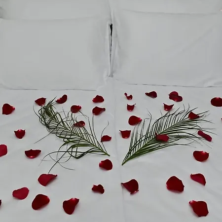 Homoljsko Jutro ☆☆☆☆ Homolje Morning ☆☆☆☆ *