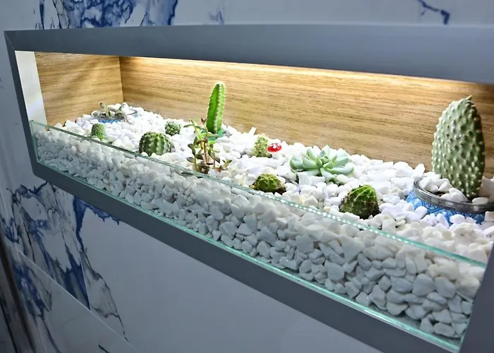 Homoljsko Jutro ☆☆☆☆ Homolje Morning ☆☆☆☆ Zagubica